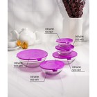 УЦНЕКА Набор стеклянных салатников с крышками Доляна «Классика», 5 предметов: 100 мл (d=9 см), 200 мл (d=10.5 см), 300 мл (d=12.5 см), 400 мл (d=16 cм), 850 мл (d=17 см) - Фото 2