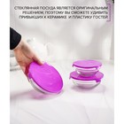 УЦНЕКА Набор стеклянных салатников с крышками Доляна «Классика», 5 предметов: 100 мл (d=9 см), 200 мл (d=10.5 см), 300 мл (d=12.5 см), 400 мл (d=16 cм), 850 мл (d=17 см) - Фото 3