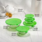 УЦЕНКА Набор стеклянных салатников Доляна «Классика», с крышками, 5 предметов: 900 мл (17×7,6 см), 500 мл (16×6 см), 350 мл (12,5×5,4 см), 200 мл (10,5×4,5 см), 130 мл (9×3,7 см), цвет зелёный - Фото 2