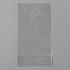 Пакет полипропиленовый фасовочный, прозрачный, 11*16*3 см, набор 20 шт