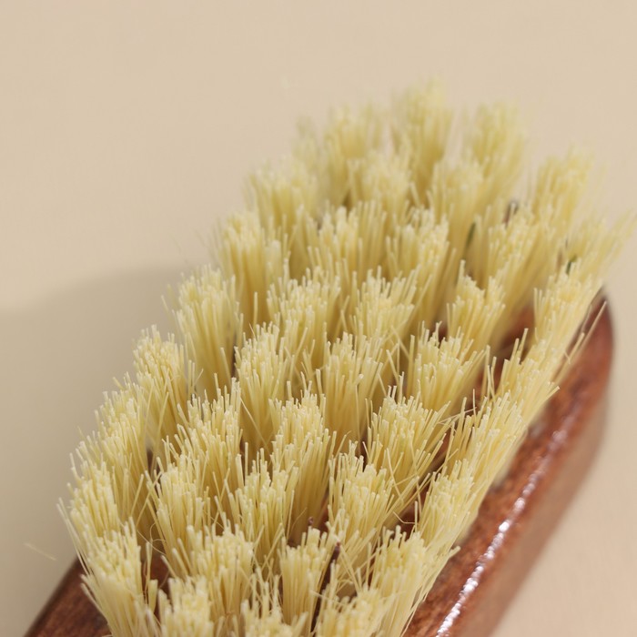 Щетка для бороды, лакированная колодка, волокно тампико, 11×4×4 см 36568