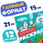Раскраска «Зимняя», 16 стр., А5, Смешарики - Фото 2