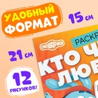 Раскраска «Кто что любит», 16 стр., А5, Смешарики - Фото 2