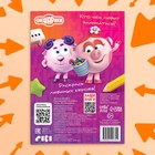 Раскраска «Кто что любит», 16 стр., А5, Смешарики - Фото 6