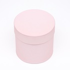 Набор шляпных подарочных коробок 5 в 1 «Пудра»,20×20×20‒13.5×13.5×13.5 см - Фото 5