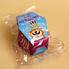 Печенье с предсказанием «Счастливого ДР», 1 шт. (комплект 2 шт) - фото 46197961