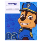 Тетрадь 12 листов в крупную клетку, 5 видов МИКС, обложка мелованный картон, Щенячий патруль (комплект 10 шт) - фото 35004389