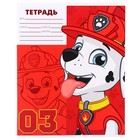 Тетрадь 12 листов в крупную клетку, 5 видов МИКС, обложка мелованный картон, Щенячий патруль (комплект 10 шт) - фото 35004393
