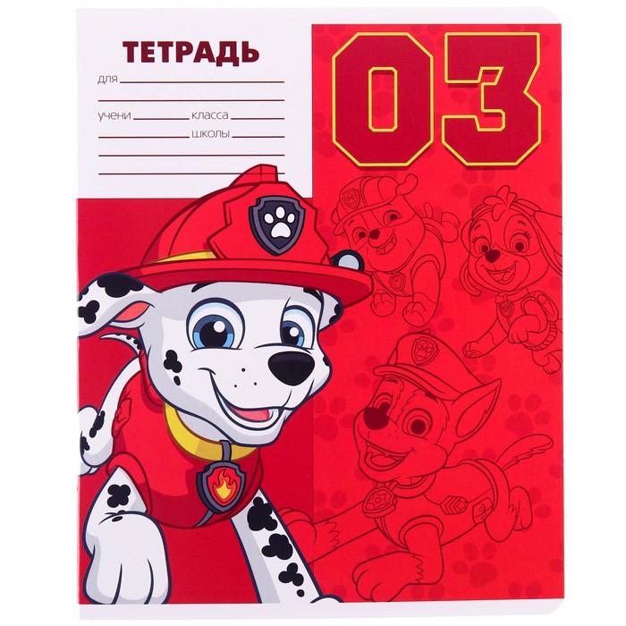 Тетрадь 12 листов, 5 видов МИКС, косая линия, Paw Patrol