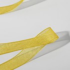 Лента капроновая, 10 мм × 30 ± 1 м, цвет жёлтый - фото 10634418