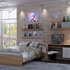 Картина по номерам 30 × 40 см «Геншин» «Аято» 21 цвет - фото 22348050