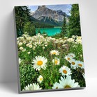 Картина по номерам 40 × 50 см «Ромашковое поле в горах» 25 цветов - фото 1360304