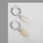 Серьги «Морские» с ракушками, цвет бежевый в серебре - фото 24386170