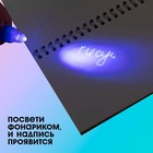 Ручка шпиона «Девочка», невидимые чернила, ультрафиолетовый фонарик 7816782 - фото 13424010