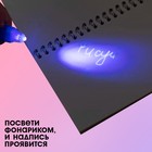 Ручка шпиона «Принцесса», с блокнотом, невидимые чернила, ультрафиолетовый фонарик - Фото 4