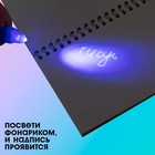 Ручка шпиона «Мои секреты. Динозавры», с блокнотом, невидимые чернила, ультрафиолетовый фонарик - Фото 4