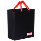 Пакет ламинированный вертикальный, 23 х 27 х 11 см "Marvel", Мстители - фото 6977584