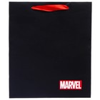 Пакет ламинированный вертикальный, 23 х 27 х 11 см "Marvel", Мстители - Фото 4