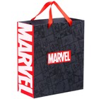 Пакет ламинированный вертикальный, 23 х 27 х 11 см "Marvel", Мстители - фото 6977586