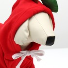 Толстовка "Яблочко", размер ХS (ДС 20, ОГ 32см) - Фото 13