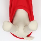 Толстовка "Яблочко", размер ХS (ДС 20, ОГ 32см) - Фото 3