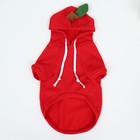 Толстовка "Яблочко", размер ХS (ДС 20, ОГ 32см) - Фото 4