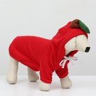 Толстовка "Яблочко", размер ХS (ДС 20, ОГ 32см) - Фото 7