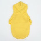 Толстовка "Бананза!", размер S (ДС 25, ОГ 38см) - Фото 13