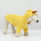 Толстовка "Бананза!", размер M (ДС 30, ОГ 44 см) - Фото 4