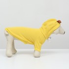 Толстовка "Бананза!", размер M (ДС 30, ОГ 44 см) - Фото 5