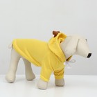 Толстовка "Бананза!", размер M (ДС 30, ОГ 44 см) - Фото 6