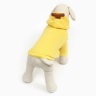 Толстовка "Бананза!", размер M (ДС 30, ОГ 44 см) - Фото 8