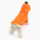 Толстовка "Любимая морковка", размер L (ДС 35, ОГ 50 см) - Фото 6