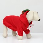 Толстовка «Яблочко», размер L (ДС 35, ОГ 50 см) - Фото 9