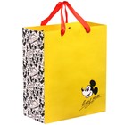 Пакет ламинированный вертикальный, 23 х 27 х 11 см "Mickey mouse" Микки Маус - Фото 2