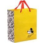 Пакет ламинированный вертикальный, 23 х 27 х 11 см "Mickey mouse" Микки Маус - фото 6978139