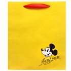 Пакет ламинированный вертикальный, 23 х 27 х 11 см "Mickey mouse" Микки Маус - Фото 4