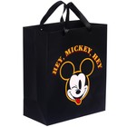 Пакет ламинированный вертикальный, 23 х 27 х 11 см "Hey Mickey Hey", Микки Маус - фото 6978141