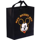 Пакет ламинированный вертикальный, 23 х 27 х 11 см "Hey Mickey Hey", Микки Маус - фото 6978142