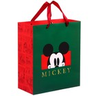 Пакет ламинированный вертикальный, 23 х 27 х 11 см "Mickey" Микки Маус - фото 6978144
