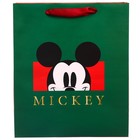 Пакет ламинированный вертикальный, 23 х 27 х 11 см "Mickey" Микки Маус - фото 9860817