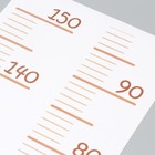 Наклейка пластик интерьерная цветная ростомер "Пирамидка из зверят" набор 3 листа - фото 24187574