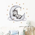 Наклейка пластик интерьерная цветная "Малыш зебры на месяце" 40х60 см - Фото 1