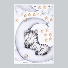 Наклейка пластик интерьерная цветная "Малыш зебры на месяце" 40х60 см - Фото 2