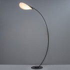 Торшер "Нордик" Е27 40Вт чёрный 160х38х185 см - фото 22496435