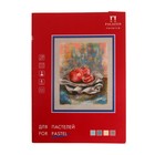 Бумага для пастели А4, 8 листов, 4 цвета "Пастельный класс", 150 г/м², в папке - Фото 1