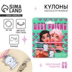 Кулоны неразлучники «Best Friend», 2 шт, длина 50 см - фото 10638337