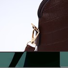 Сумка кросс-боди на молнии, цвет коричневый - Фото 5