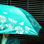 Зонт женский механический «Цветы», 8 спиц, d=95, цвет бирюзовый - фото 12010128