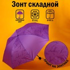 Зонт механический «Веточки», 8 спиц, d=95, цвет сиреневый - Фото 1